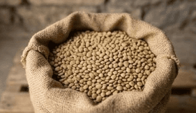 Green Lentils