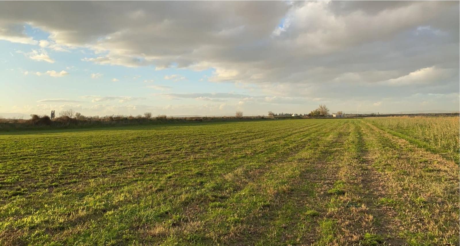 Our Fields